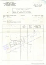 certificado de penales marruecos