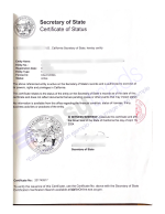 Certificado de situación Estados Unidos (Certificate of Status)
