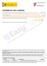 traducción vida laboral España