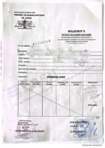 Traducción jurada Antecedentes Penales Senegal